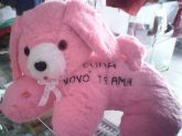 CACHORRO M