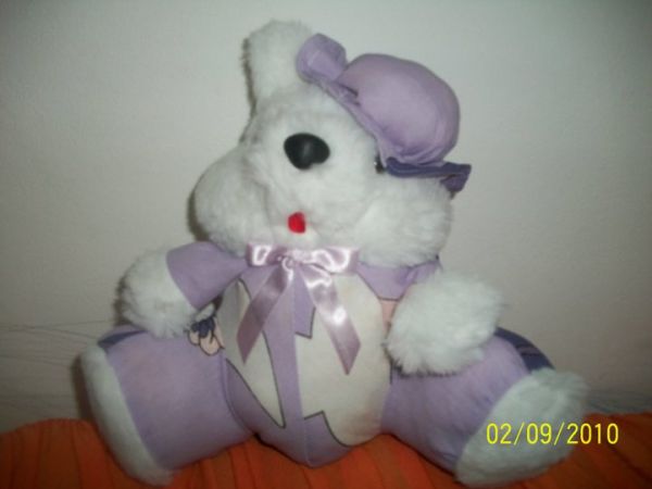 SONECA
