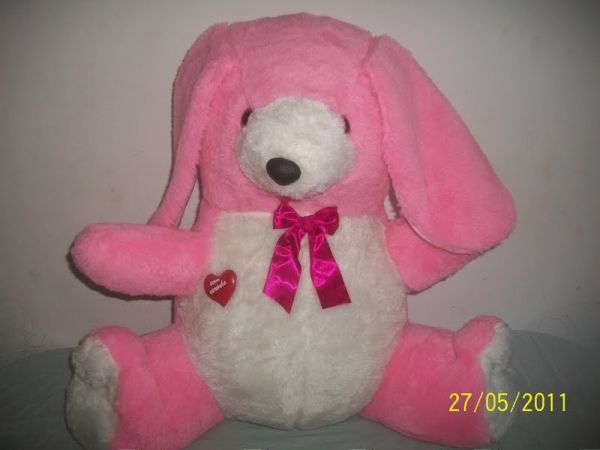 CACHORRÃO SENTADO
