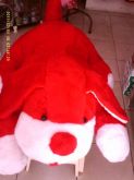 CACHORRÃO VERMELHO