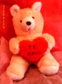 URSO MASCOTE